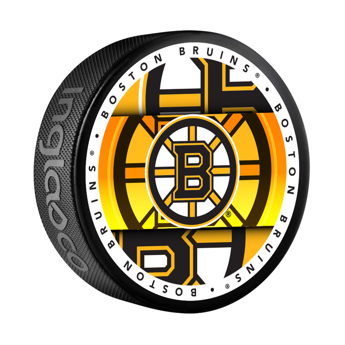 NHL Boston Bruins Medallion Souvenir Collector Hockey Puck