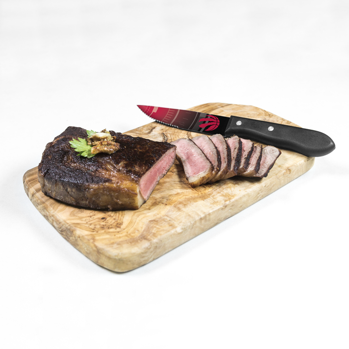 NBA Toronto Raptors 4-pc Steak Knives