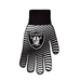 Las Vegas Raiders BBQ Glove