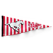 CFL Calgary Stampeders  Collector Pennant