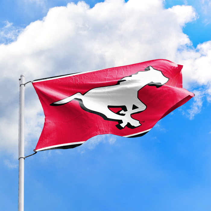 CFL Calgary Stampeders 3x5 Wall Flag