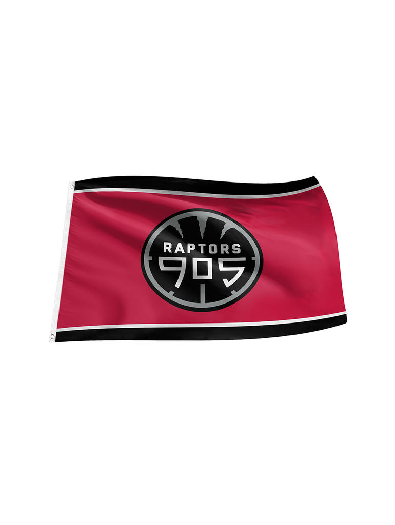 Toronto Raptors 3x5 905 Flag with Grommets