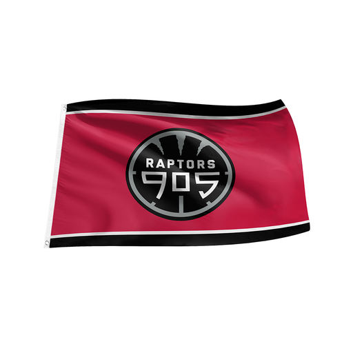 Toronto Raptors 3x5 905 Flag with Grommets