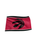 Toronto Raptors 3x5 Flag with Grommets