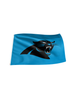 Carolina Panthers 3x5 Flag with Grommets