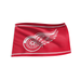 Detroit Red Wings 3x5 Flag with Grommets