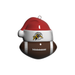 CFL Hamilton Tigercats Ball Ornament
