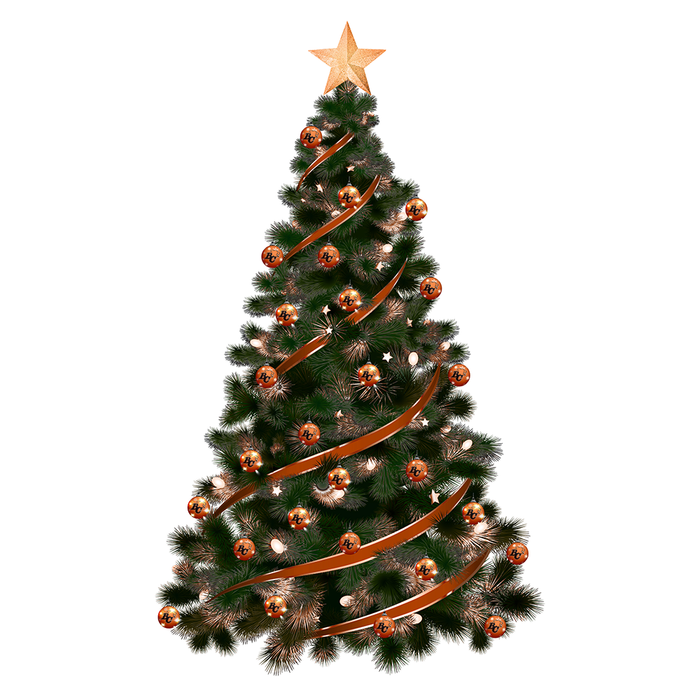 CFL BC Lions Light-Up Ornament 2-Pack