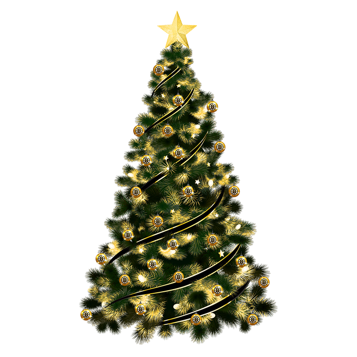 NHL Boston Bruins Light-Up Ornament 2-Pack