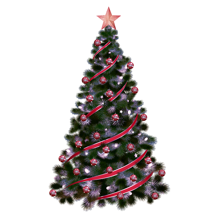NHL Montreal Canadiens Light-Up Ornament 2-Pack