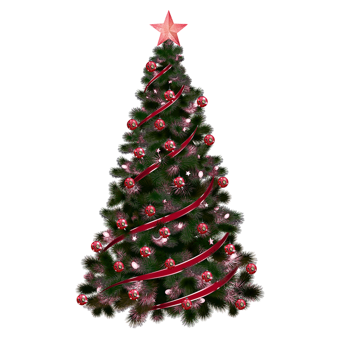 Lot de 2 décorations lumineuses des Sénateurs d'Ottawa de la LNH