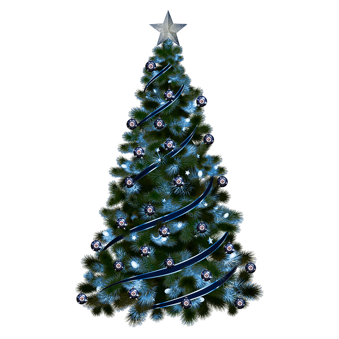 NHL Winnipeg Jets Light-Up Ornament 2-Pack