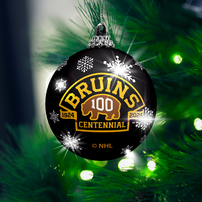 Lot de 2 décorations lumineuses du centenaire des Bruins de Boston de la LNH