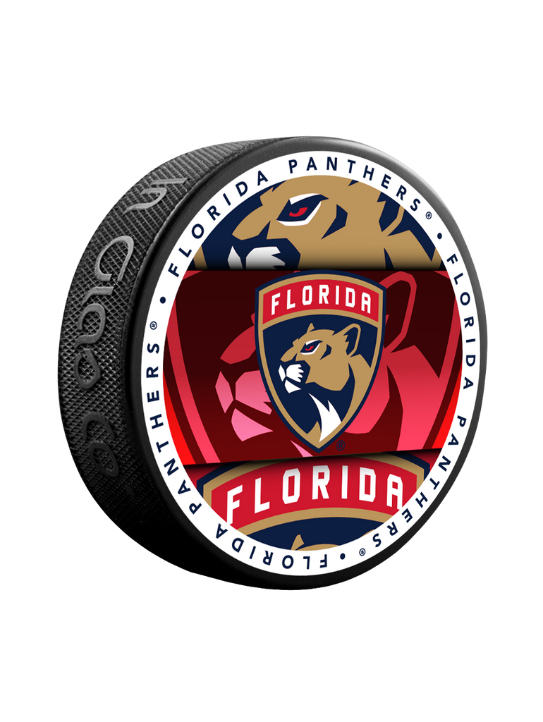 Rondelle NHL Florida Panthers Médallion Souvenir Collector