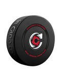 Rondelle de jeu officielle des Cincinnati Cyclones de la ECHL 2023-24 en cube