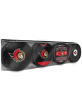 NHL Ottawa Senators Souvenir Hockey Puck Collector's 4-Pack