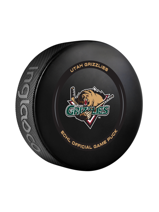 Rondelle de hockey officielle des Utah Grizzlies de l'ECHL 2024-25 dans un cube