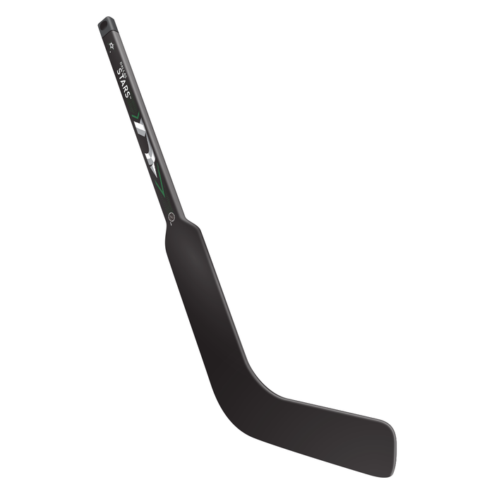 Mini-bâton de gardien composite des Stars de Dallas de la LNH