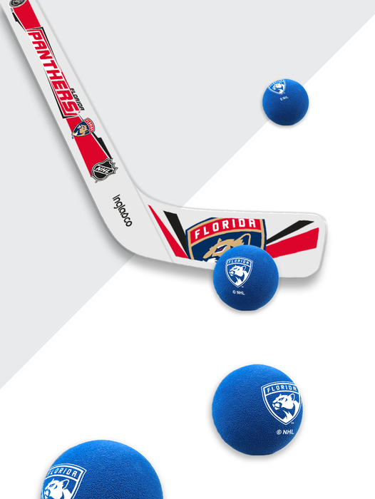 NHL Florida Panthers Rapid Fire Set