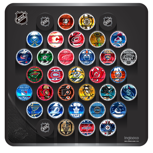 NHL Hockey Puck Wall Plaque. All 32 NHL Team Medallion Souvenir Collector Pucks + 3 NHL Shield Hockey Pucks