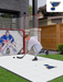 NHL St. Louis Blues (standard-sized logo) Hockey Training Surface