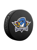 Rondelle de hockey souvenir classique AHL Springfield Thunderbirds