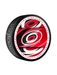 NHL Calgary Flames Medallion Souvenir Collector Hockey Puck
