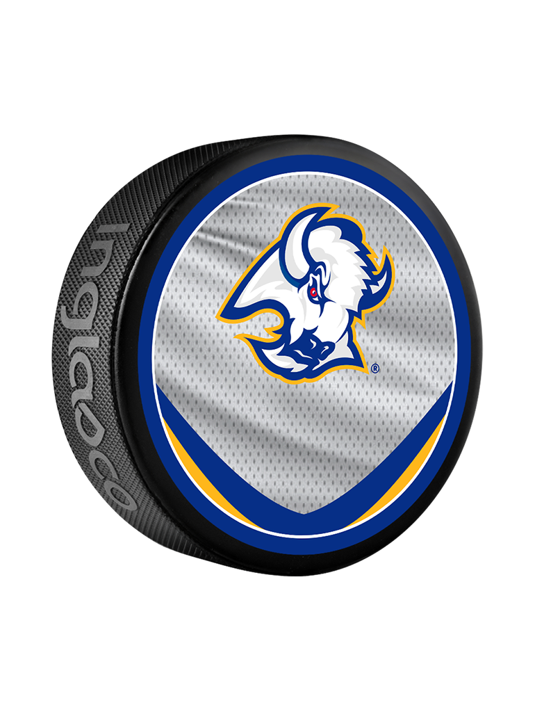 InGlasco NHL Mascot Souvenir Puck - Buffalo Sabres
