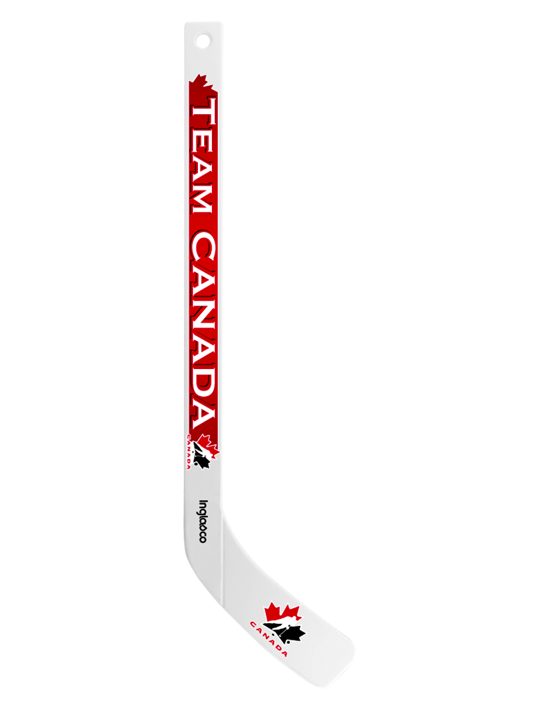 NHL Anaheim Ducks Player Mini Stick – Inglasco Inc.