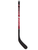 <transcy>NHL Detroit Red Wings Composite Player Mini Stick - Courbe Gauche</transcy>