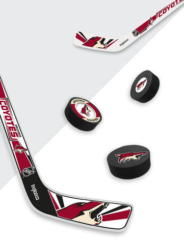 NHL Dallas Stars Player Mini Stick – Inglasco Inc.