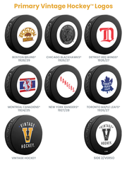 NHL Minnesota Wild Retro Souvenir Collector Hockey Puck – Inglasco Inc.